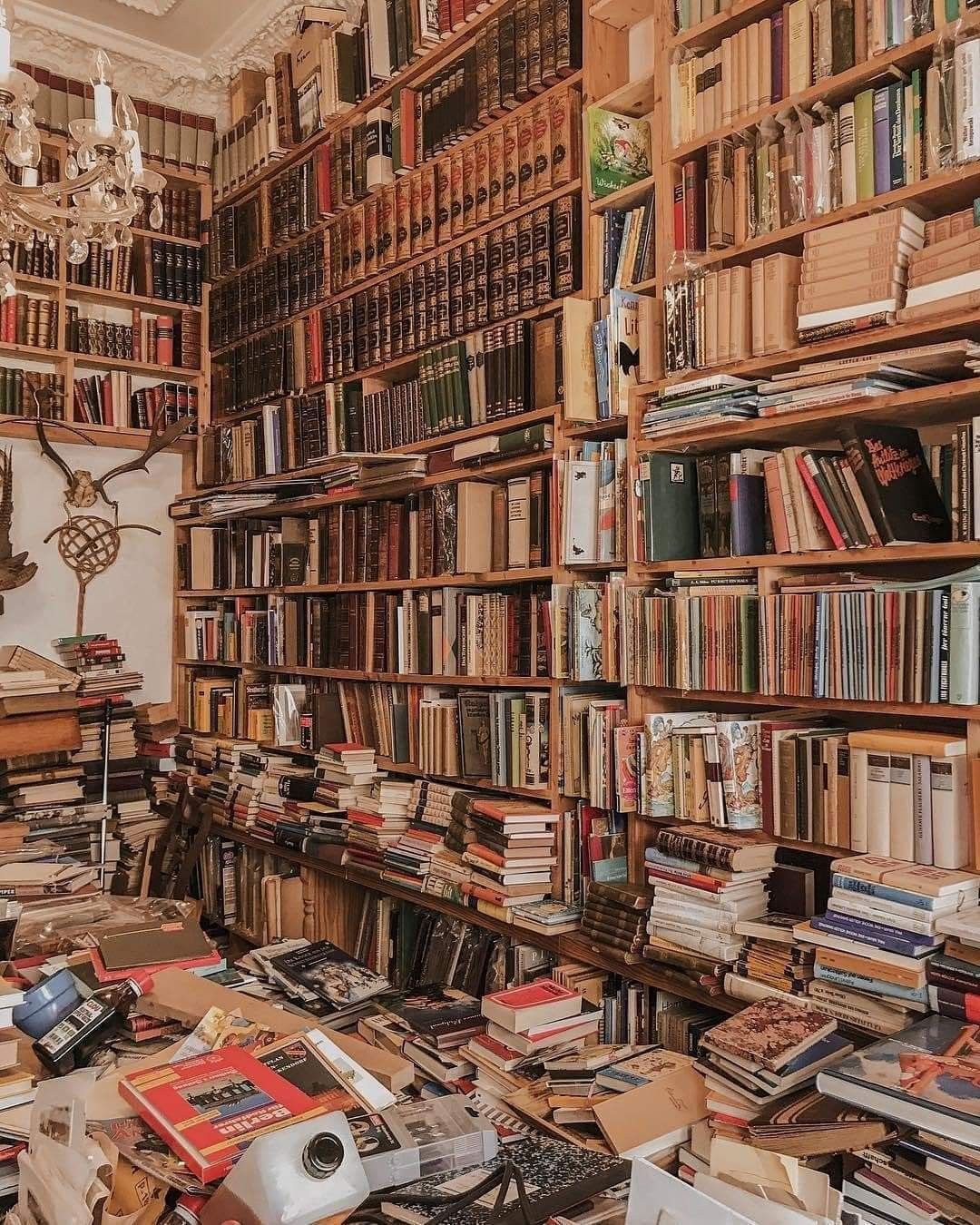 Illustration de bibliothèque